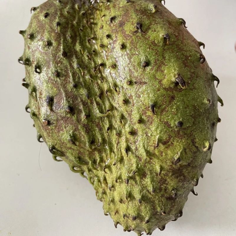 红毛榴莲刺果番荔枝新鲜水果[顺丰包邮]释迦果中的巨无霸