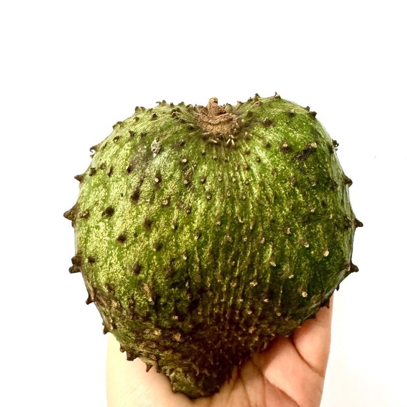 红毛榴莲刺果番荔枝新鲜水果[顺丰包邮]释迦果中的巨无霸