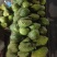 红毛榴莲刺果番荔枝新鲜水果[顺丰包邮]释迦果中的巨无霸