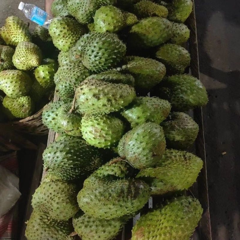 红毛榴莲刺果番荔枝新鲜水果[顺丰包邮]释迦果中的巨无霸