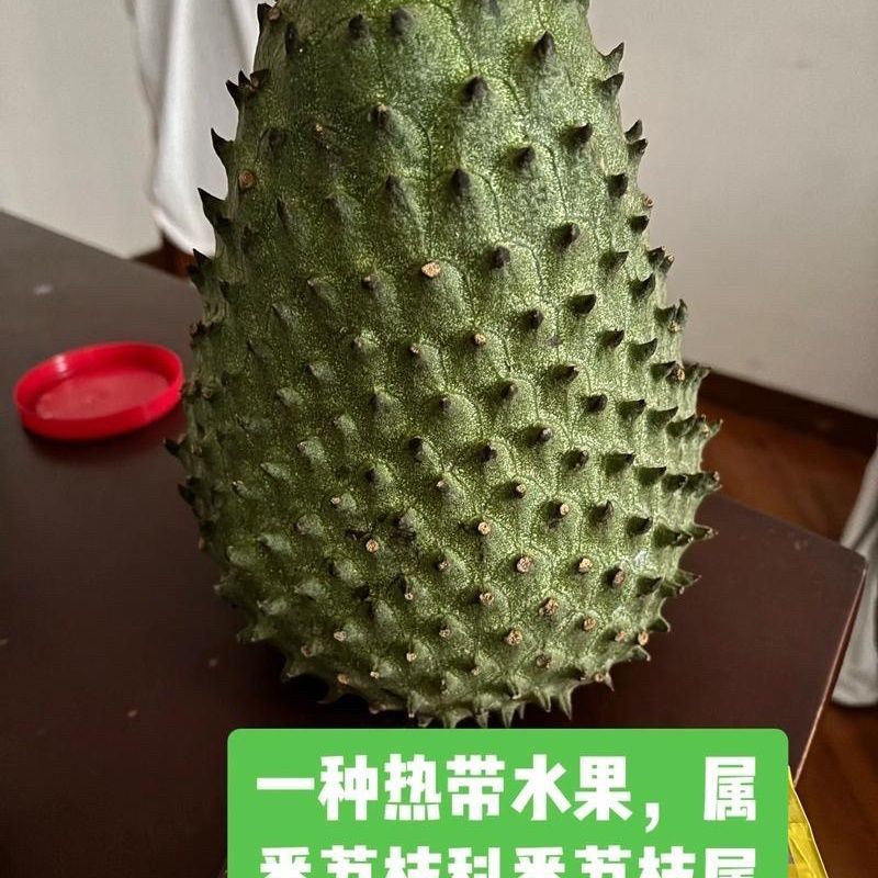 红毛榴莲刺果番荔枝新鲜水果[顺丰包邮]释迦果中的巨无霸