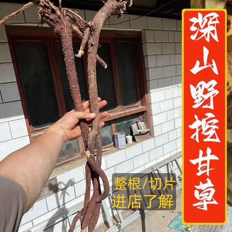 甘肃岷县深山野甘草