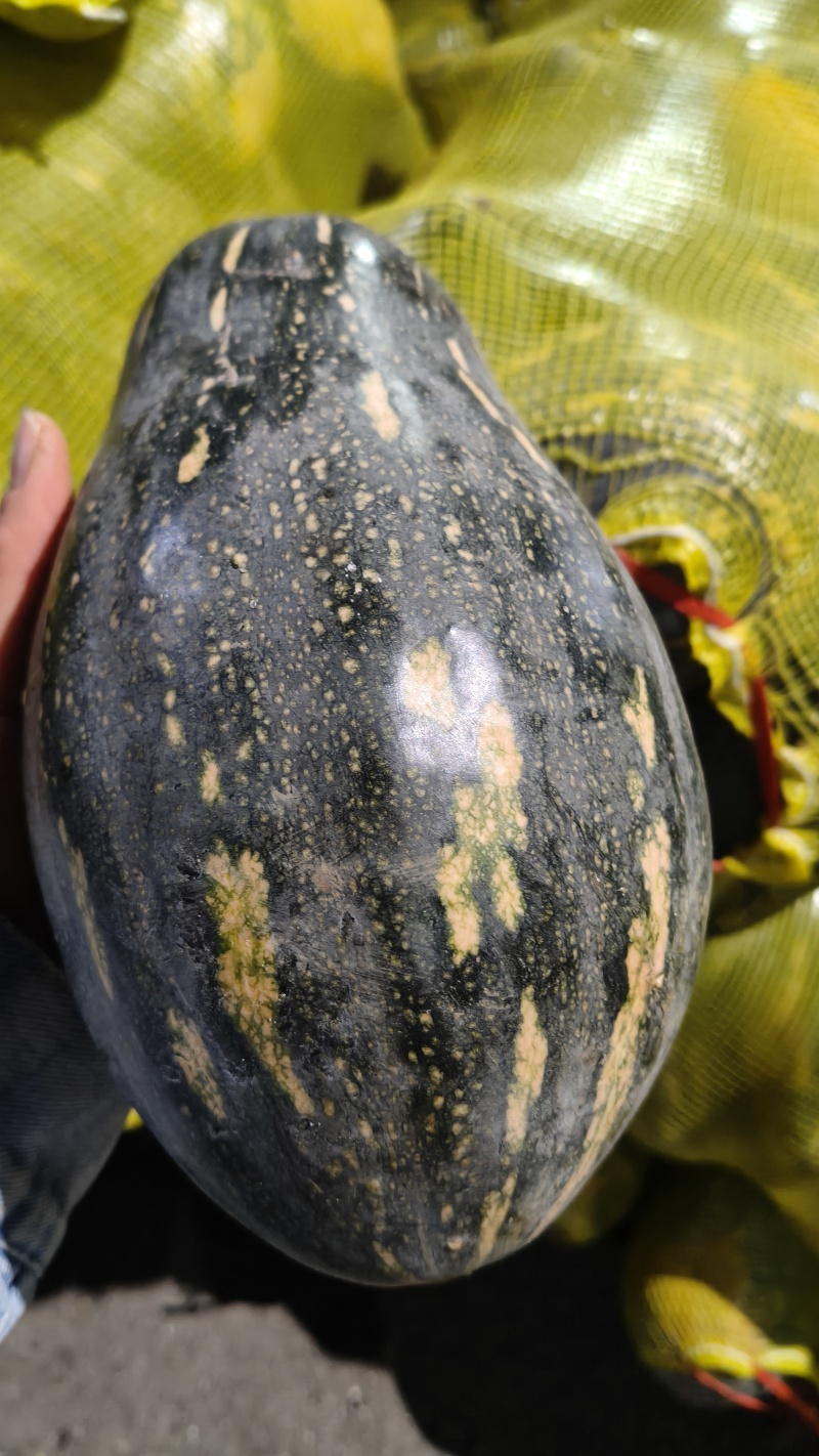 香芋南瓜