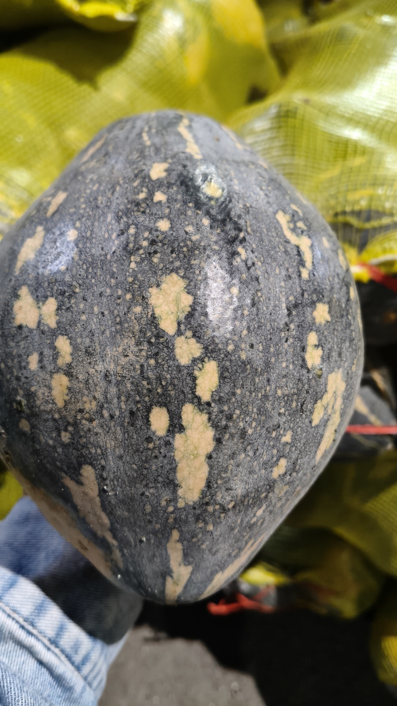 香芋南瓜