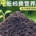 【热卖】蚯蚓粪基地直销量大质优价格优惠欢迎采购咨询