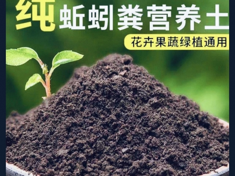 【热卖】蚯蚓粪基地直销量大质优价格优惠欢迎采购咨询