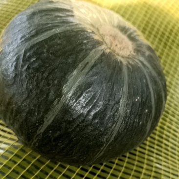 密本贝贝南瓜