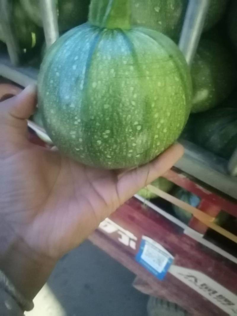 小南瓜，大小均匀，口感好，新品种
