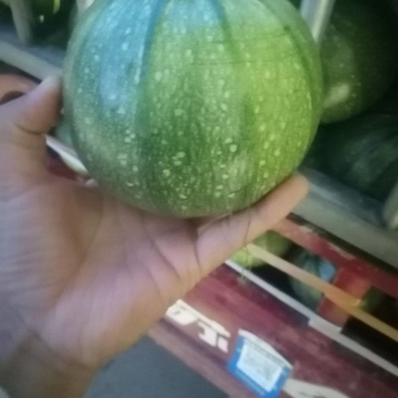 小南瓜，大小均匀，口感好，新品种