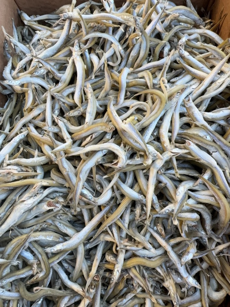 银针鱼，中条银针鱼，鱼条完整，微咸