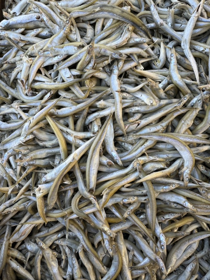 银针鱼，中条银针鱼，鱼条完整，微咸
