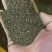 沙菀子，中药材，养生，沙菀子山西产区欢迎采购