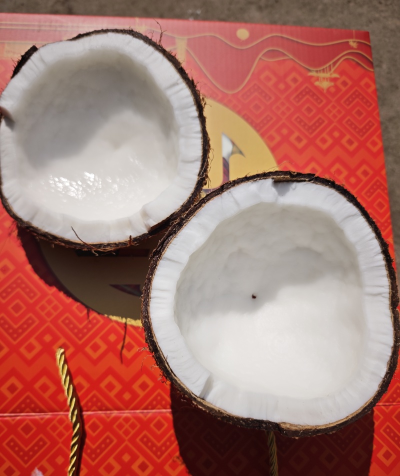 海南老椰子，越南老椰子，精挑果，***毛椰子基地供应。
