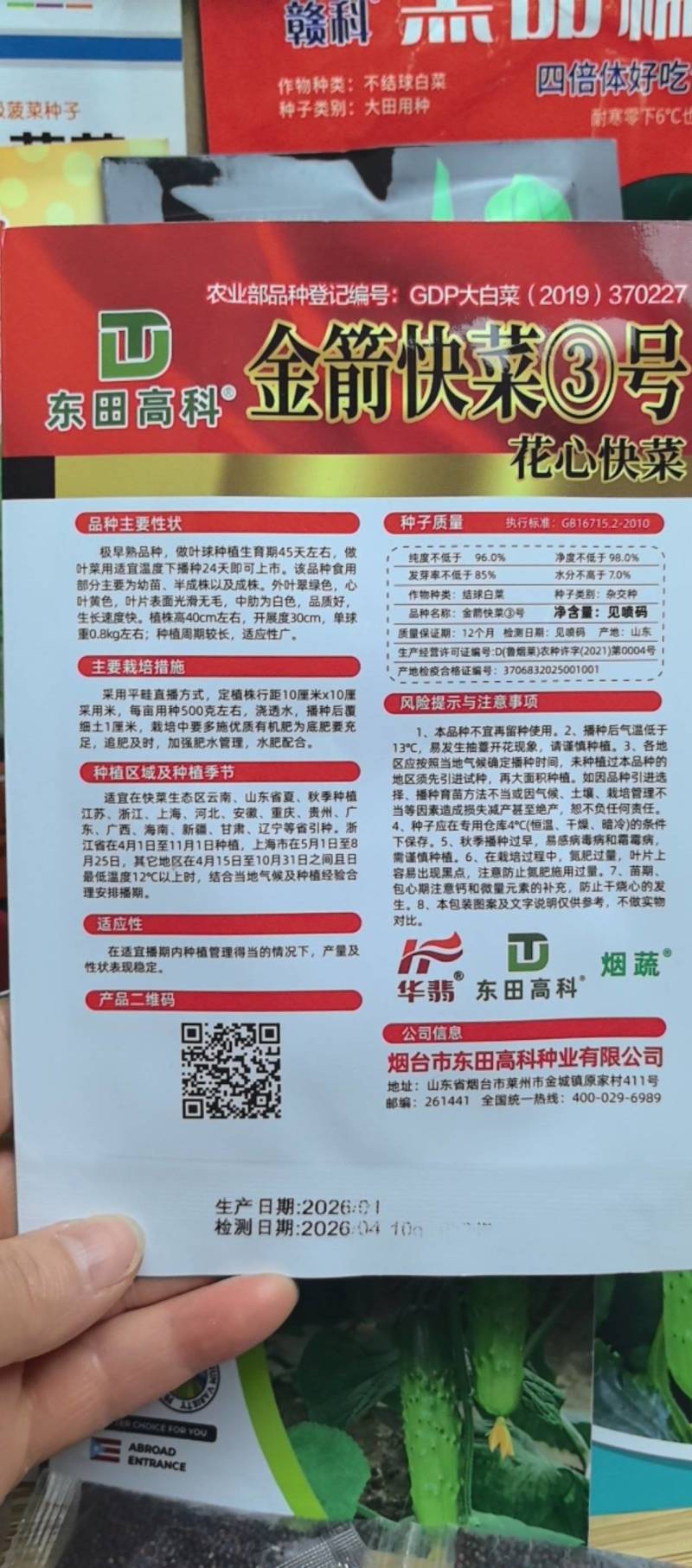 耐热2号速生快菜种子原装新种春秋菜园播种黄心快菜种子鲜嫩
