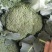 产地大量上市，一手货源，质量保证需要的新老客户联系！