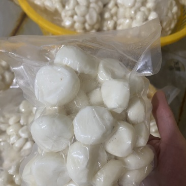 现削去皮马蹄荸荠，无泡水.商超品质.精工去皮
