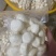 现削去皮马蹄荸荠，无泡水.商超品质.精工去皮