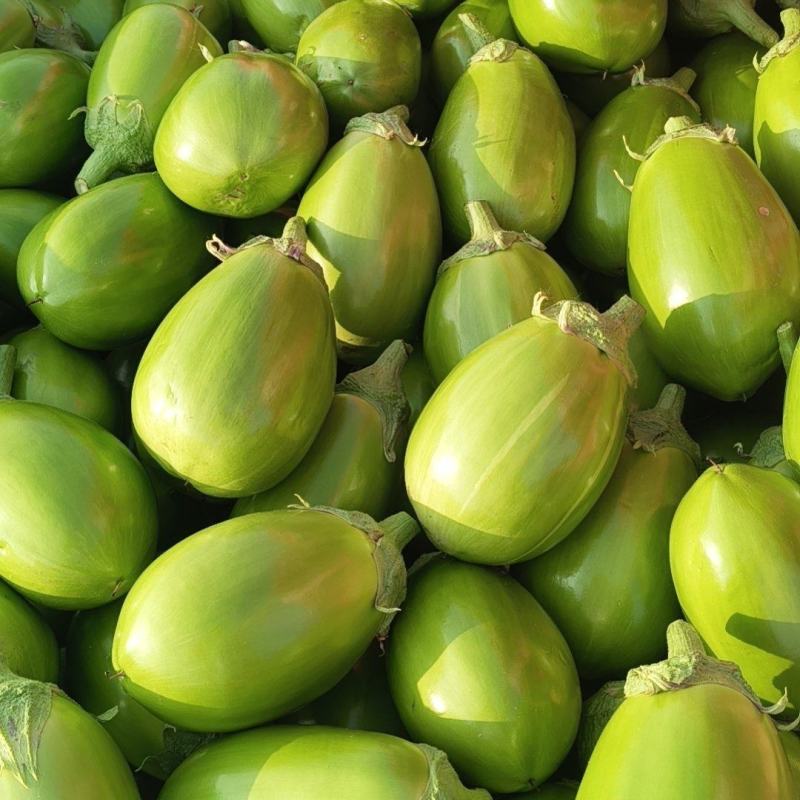 绿油茄子