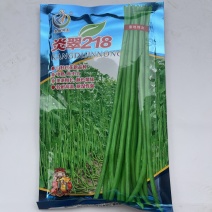 炎翠218豇豆种子品种翠绿色白籽白花耐热品种种子