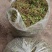 湖北恩施市咸丰县的一支箭，需要的老板联系我