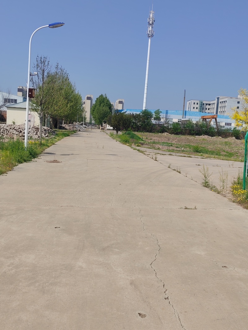设施农用地，大棚，厂房，办公，水电路齐全