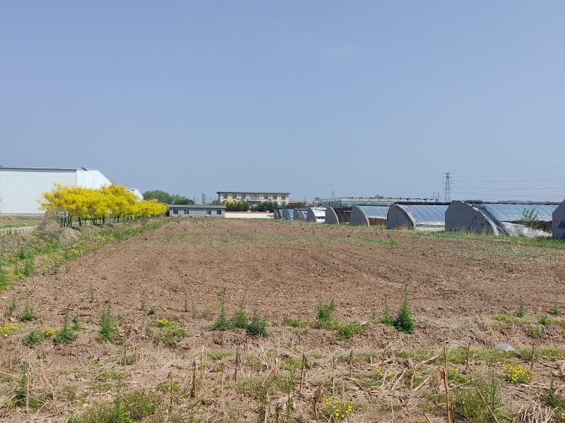 设施农用地，大棚，厂房，办公，水电路齐全