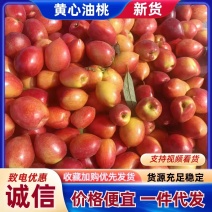 油桃一件代发可零售可批发精品货口感好品相好