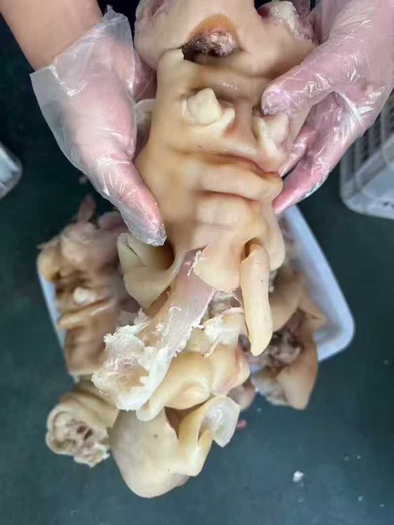 【熟牛蹄筋】全熟牛蹄，火烧去毛，工厂直发，量大从优