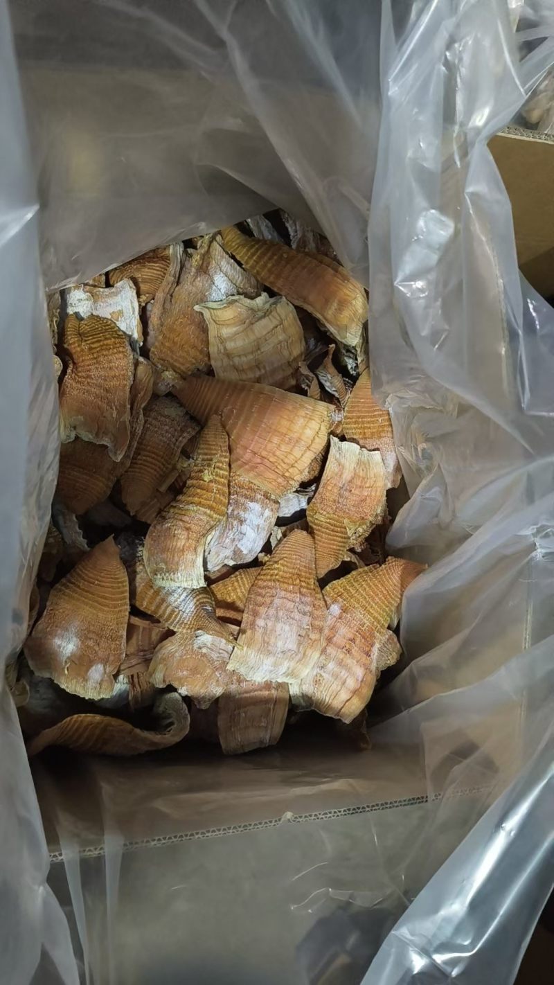 玉兰片好货4-8寸