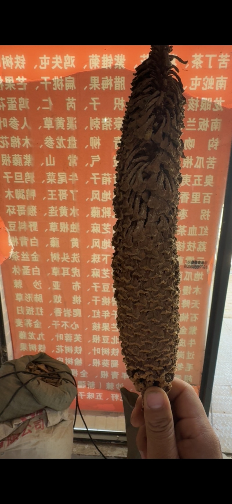 铁树花正品雄花中药材冷背中药材大全批发零售