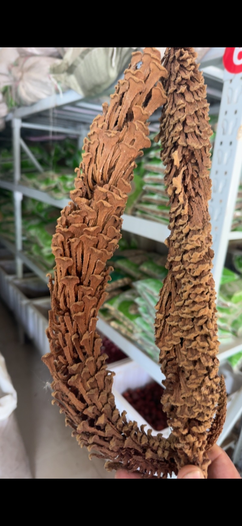 铁树花正品雄花中药材冷背中药材大全批发零售