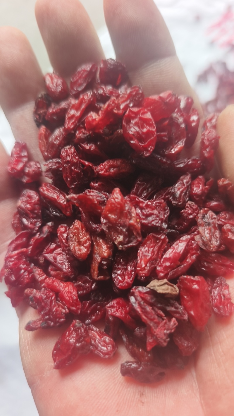 河南山茱萸产地批发
