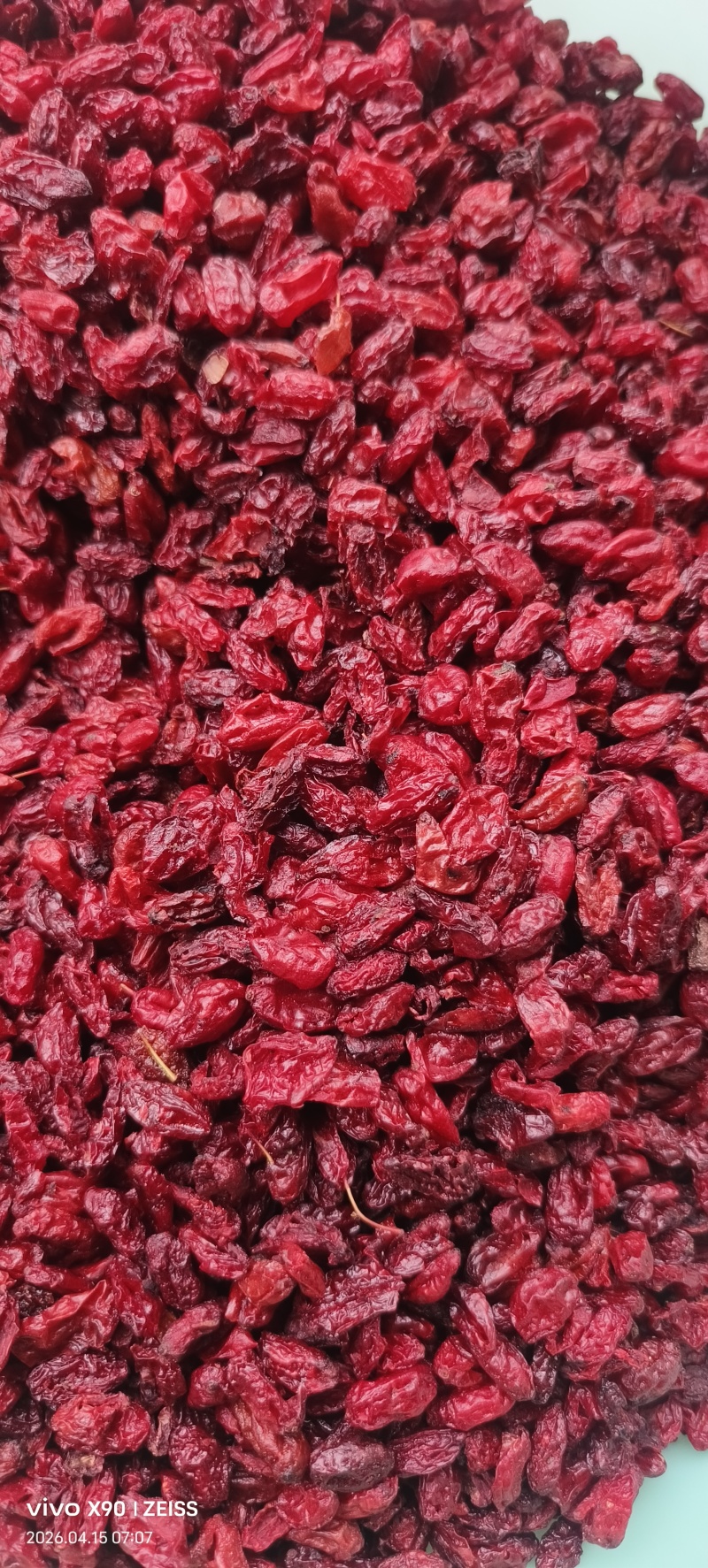 河南山茱萸产地批发