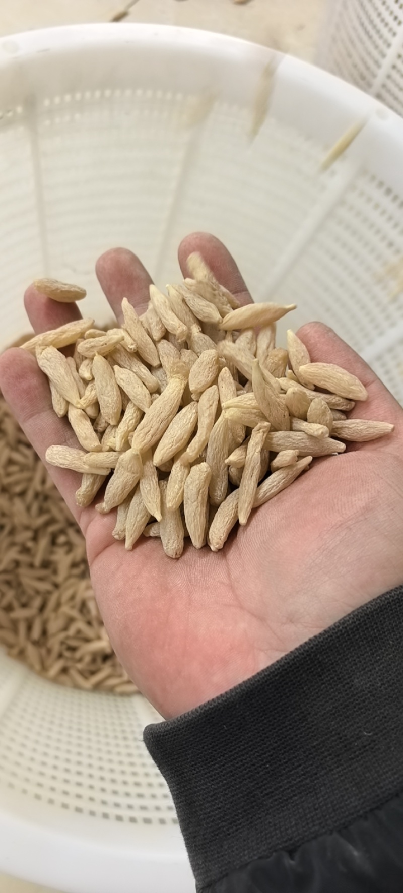 麦冬根产地直供！物美价廉诚信看货品质保证