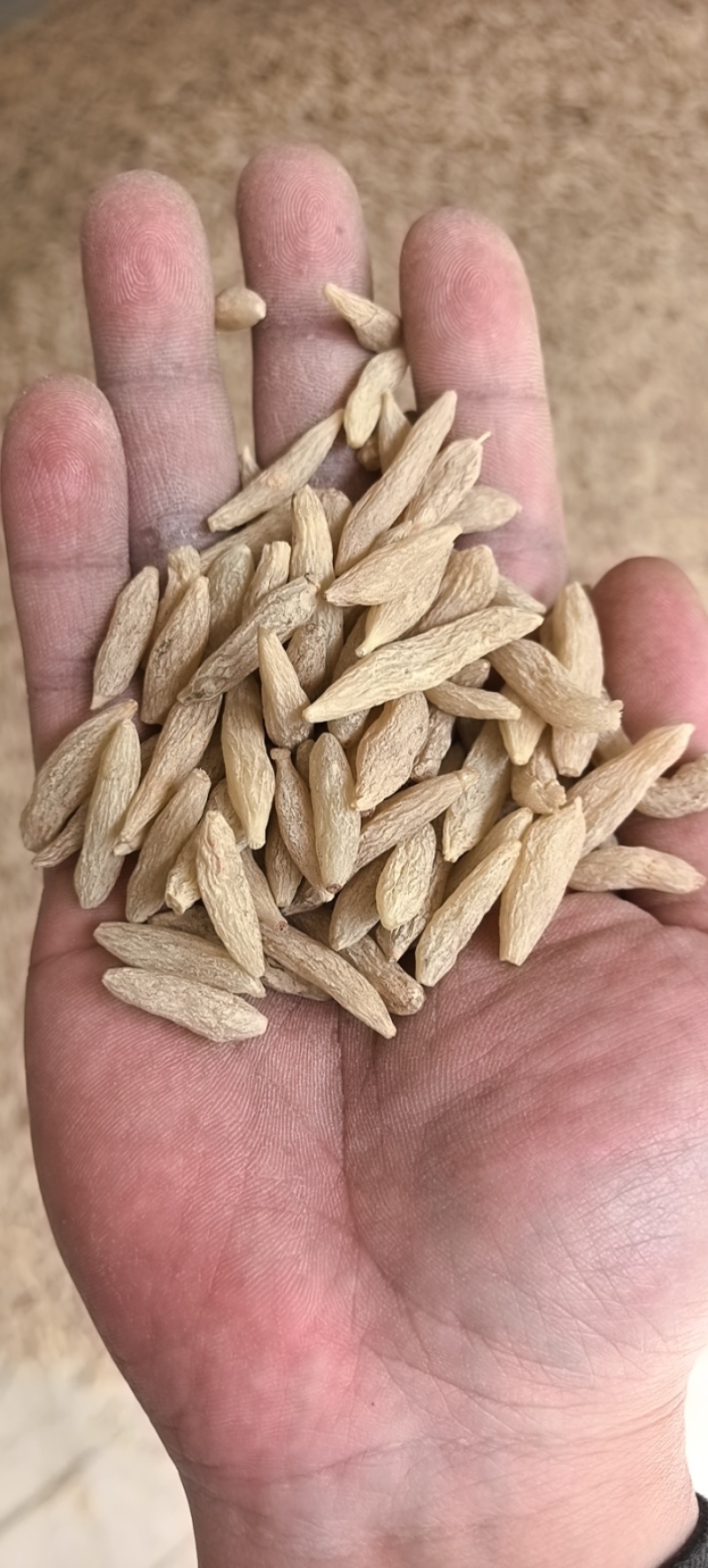 麦冬根产地直供！物美价廉诚信看货品质保证