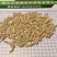 麦冬根产地直供！物美价廉诚信看货品质保证