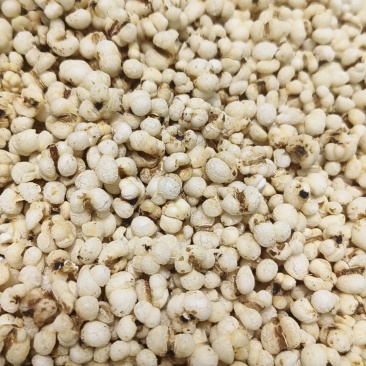 膨化炒薏仁，即食薏米，源头厂家直销价格便宜