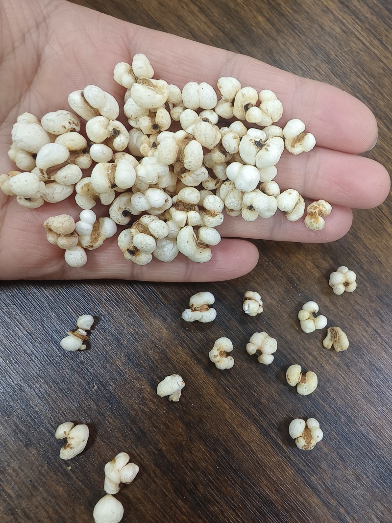 膨化炒薏仁，即食薏米，源头厂家直销价格便宜