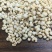 膨化炒薏仁，即食薏米，源头厂家直销价格便宜