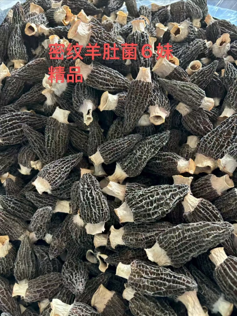 主营：木耳鹿茸菇羊肚菌虫草花龙须菜