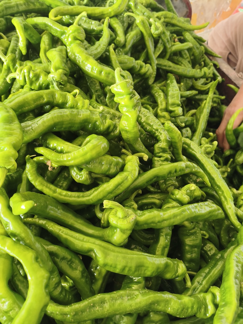 螺丝辣椒