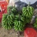 大量精品香蕉，继续赶货市场！精品靓香蕉，一件代发