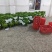 大量精品香蕉，继续赶货市场！精品靓香蕉，一件代发