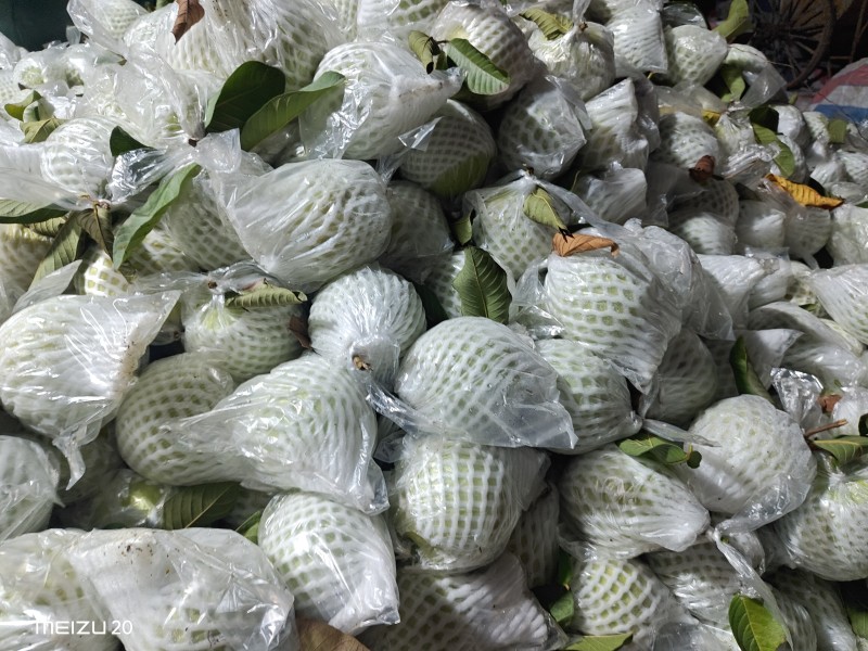 大量珍珠白石榴，电商一件代发，整车