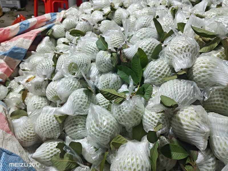 大量珍珠白石榴，电商一件代发，整车