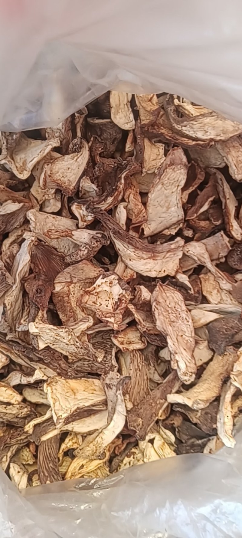 灵芝菇干片。