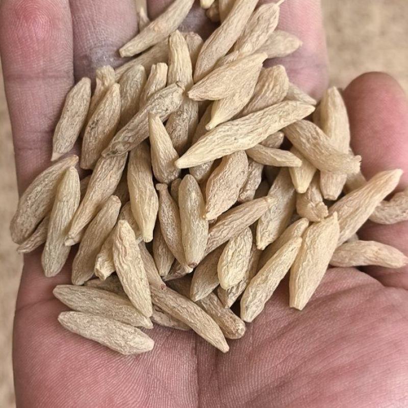 80粒超特，川麦冬各种规格均有大货，大货采购请电话联系