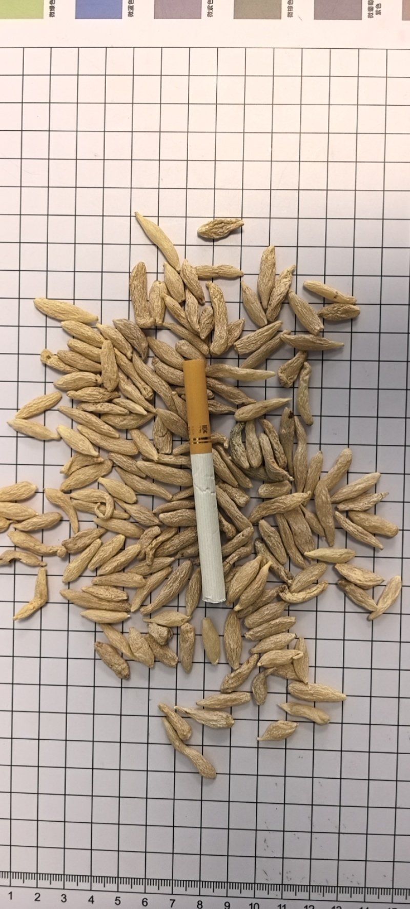 80粒超特，川麦冬各种规格均有大货，大货采购请电话联系
