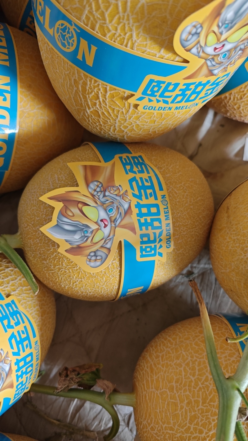 哈密瓜