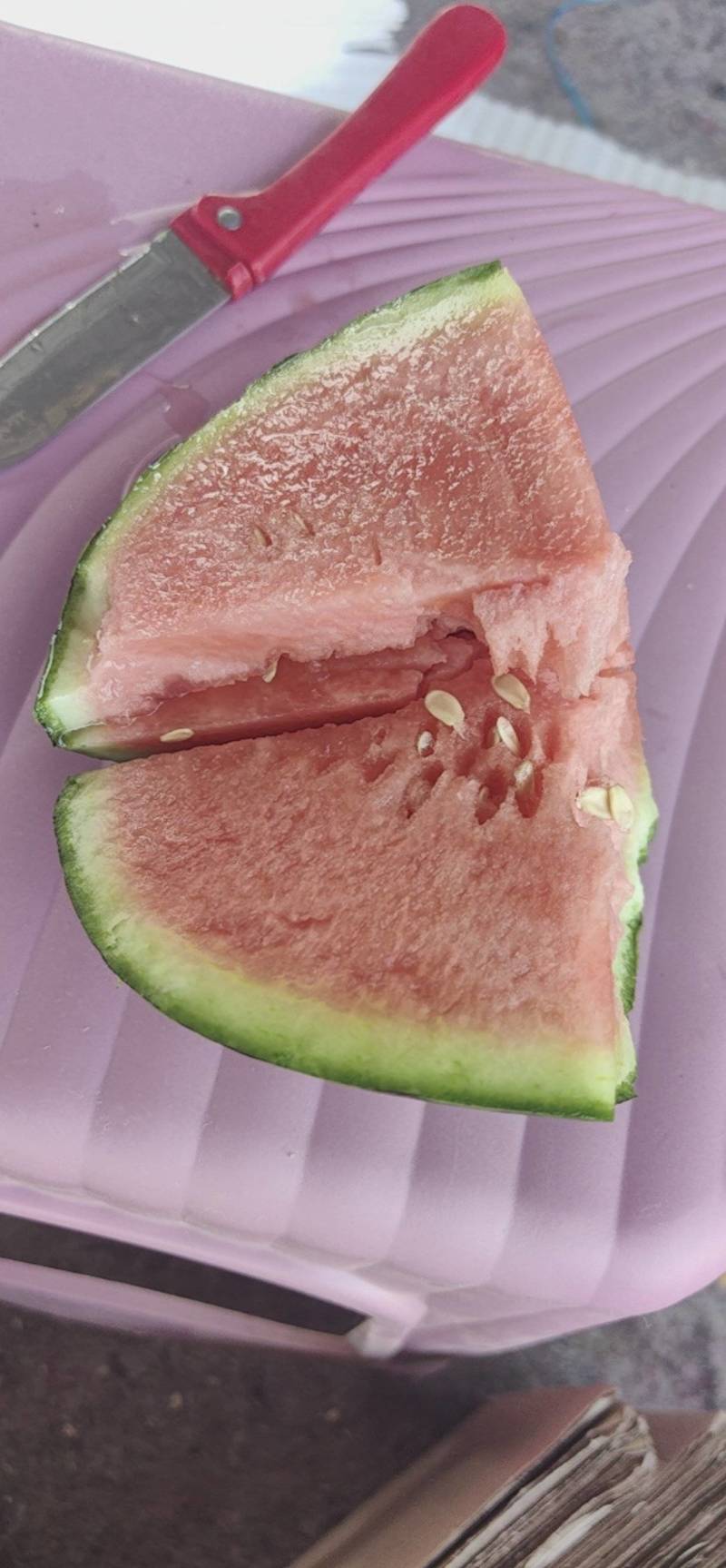 小糖丸西瓜小吊瓜精品2K